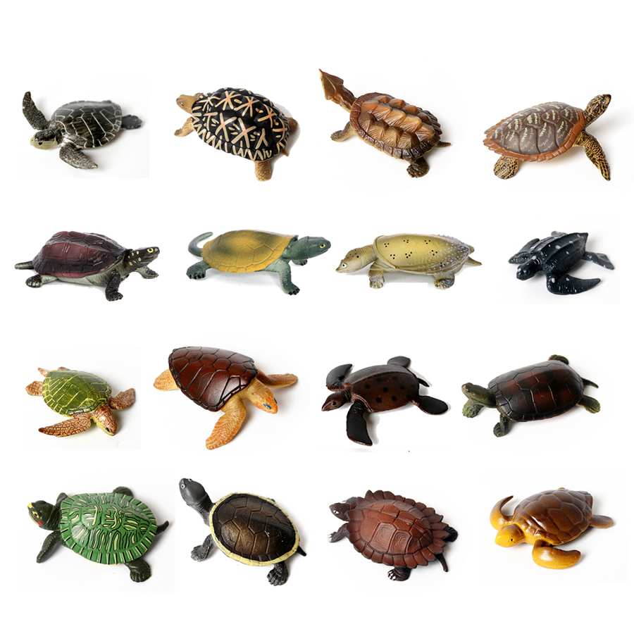 Marine Life Aquariums - Miniature tortue de mer réaliste pour
