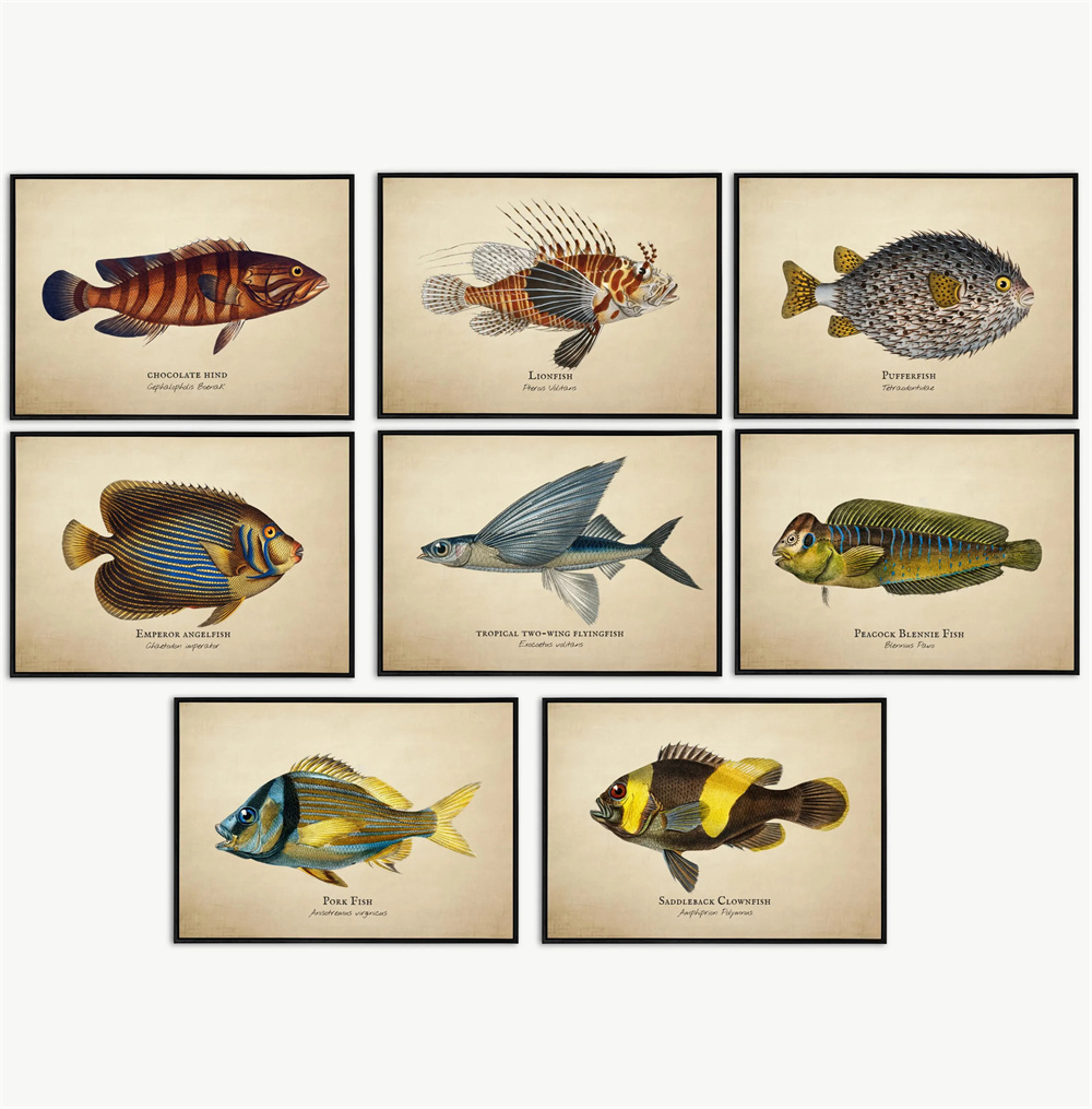 Tableaux et Peintures sur Toil - Marine Life Aquariums avis et prix