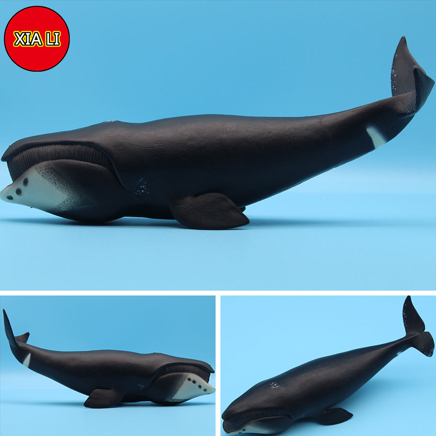 Figurines de simulation de la  - Marine Life Aquariums avis et prix