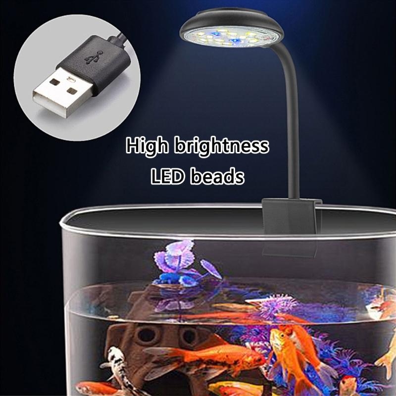 Ajustement des aquariums LED à - Marine Life Aquariums avis et prix