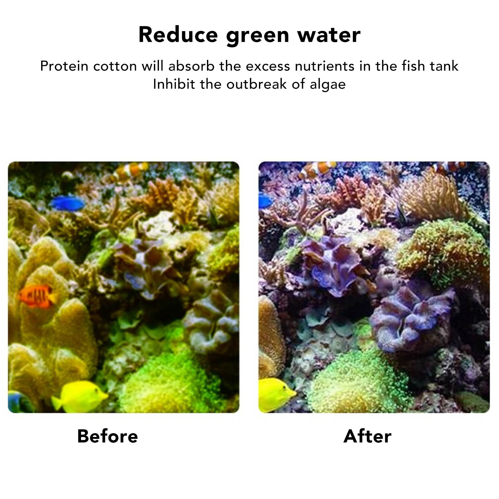 Résine de Filtration d'aquariu - Marine Aquarium Water Change avis et prix