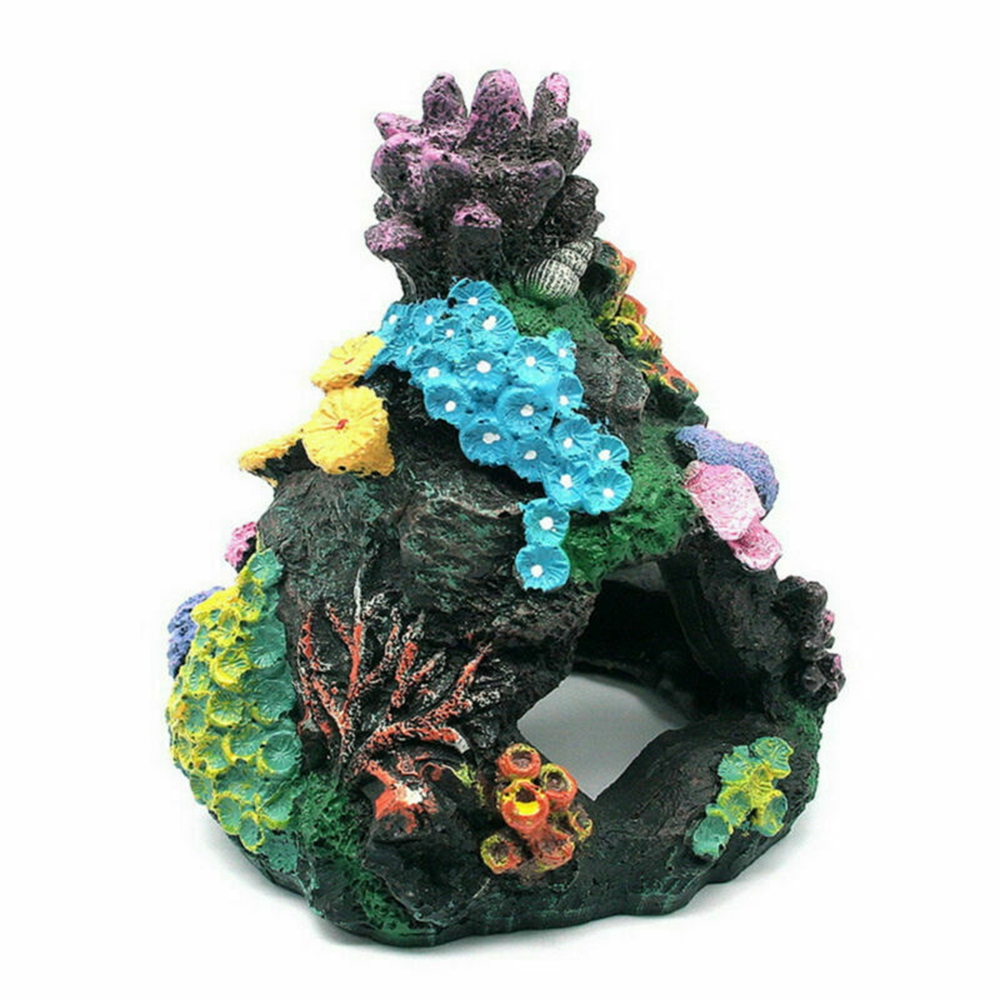 Décorations d'Aquarium en Rési - Marine Aquarium Live Sand avis et prix