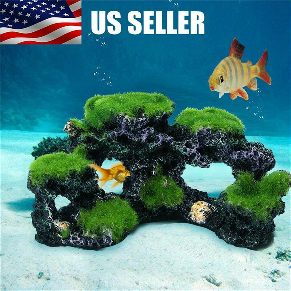 Ornement décoratif d'aquarium  - Marine Aquarium Live Sand avis et prix